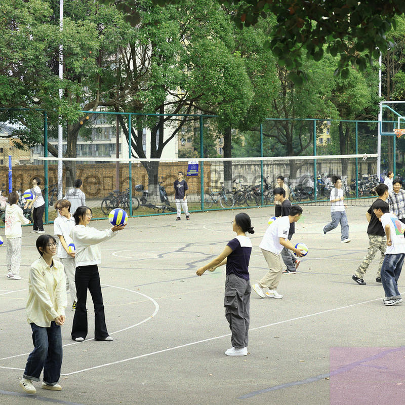坐标网格与时间刻度构成的更新节奏图形